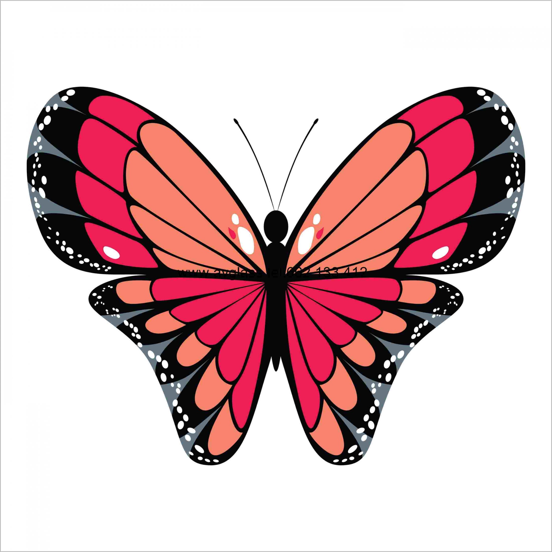 butterfly4(0).jpg