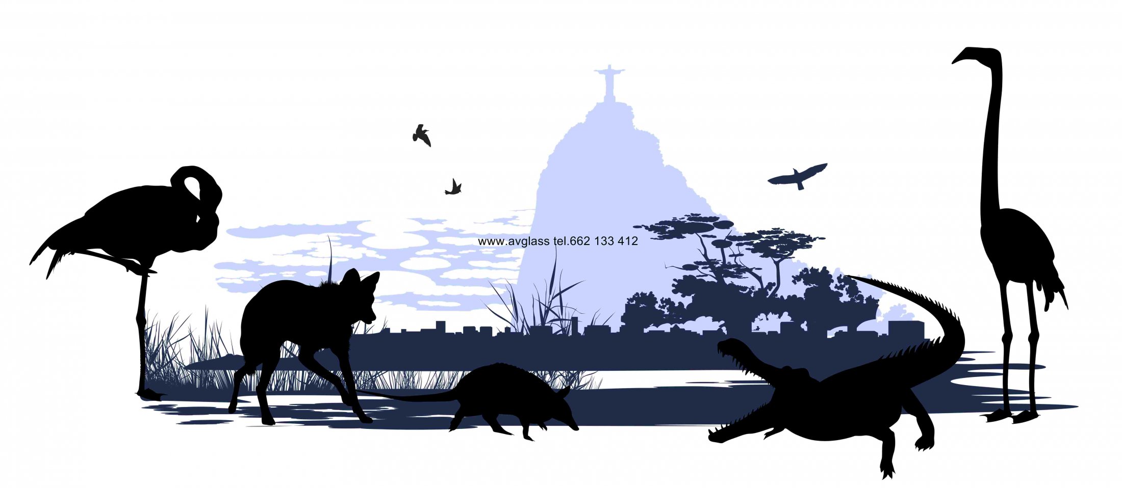 Wild animals and birds in Brazil