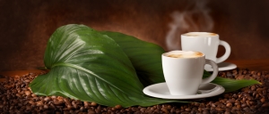 Cappuccino caldo - Hot Coffee