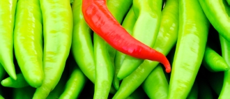 Red and green peppers