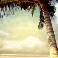 photobeach-17