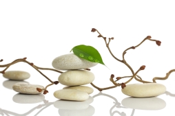 Spa stones.