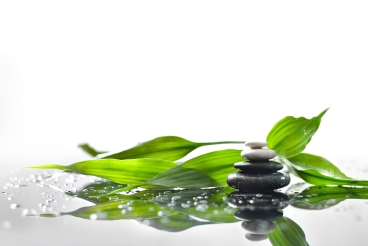 background of a spa with stones, and a sprig of green bamboo