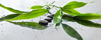 Spa still life with zen stone and bamboo for banner