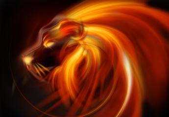 abstract lion head