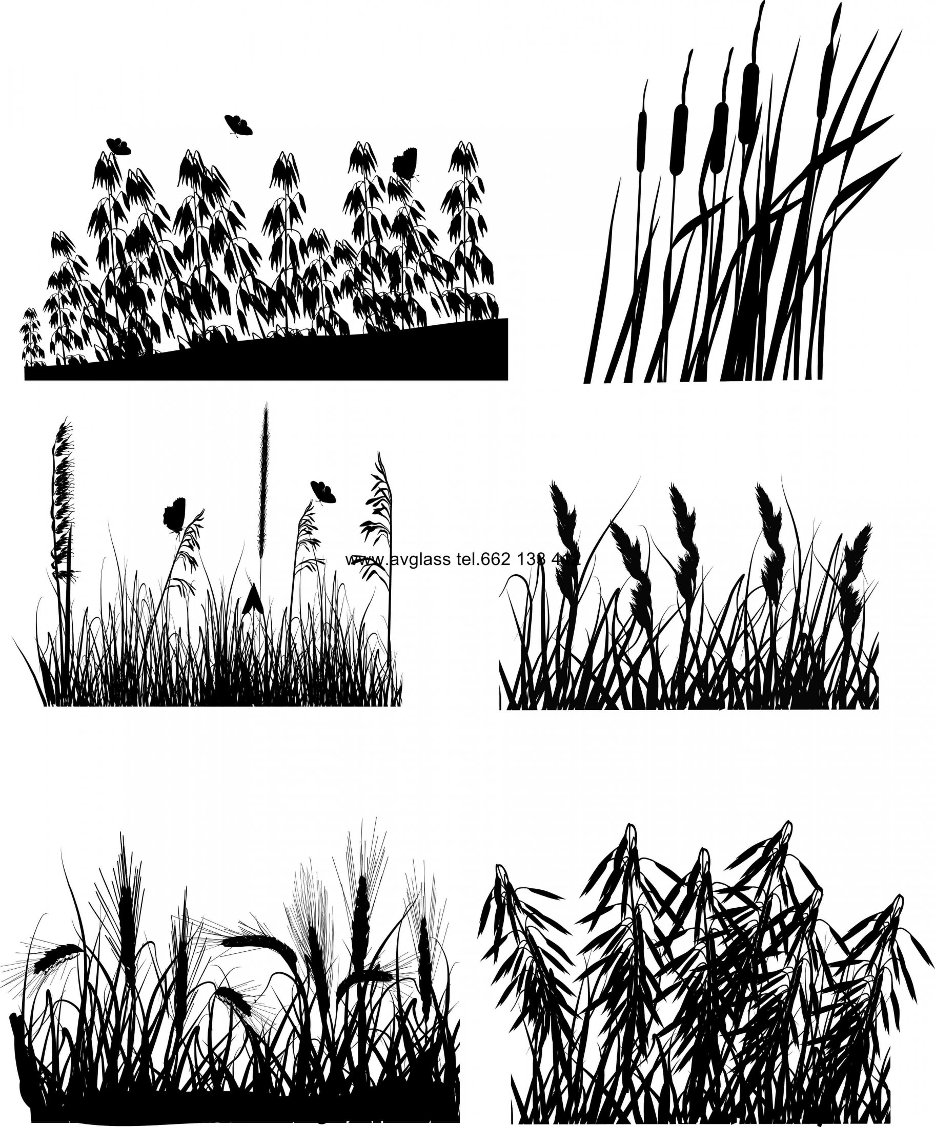 set of six different plants silhouettes isolated on white