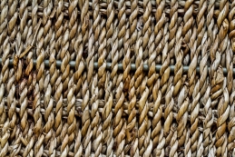 Tela