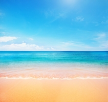 beach and tropical sea