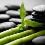 Bambus / zen