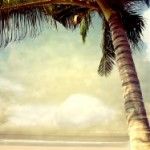photobeach-17
