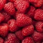 Raspberry